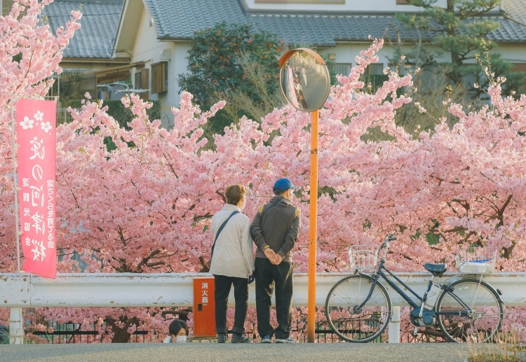Tour TOKYO – FUJI – SHIRAKAWA GO – KYOTO – OSAKA 5N5Đ