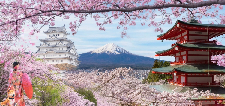 Tour TOKYO - PHÚ SĨ 5N4Đ