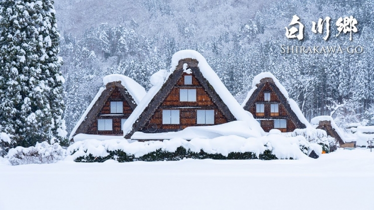 Tour TOKYO - PHÚ SĨ – SHIRAKAWA GO - KYOTO - OSAKA 5N5Đ